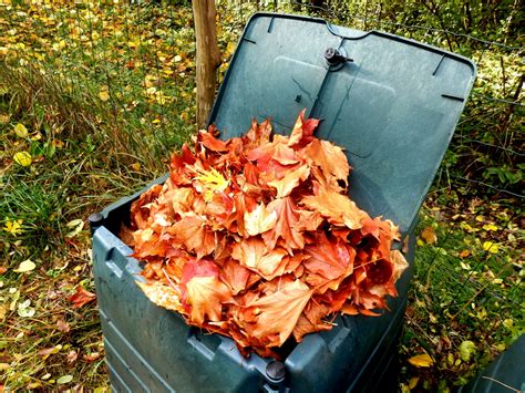 3 Steps Towards Creating the Perfect Leaf Compost