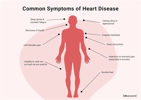 How To Find Out If You Have Heart Disease - Gradecontext26