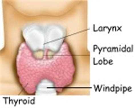 Thyroid Cancer Introduction