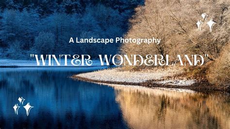 Winter Woodland Photography | Winter Wonderland | Shooting Local with ...