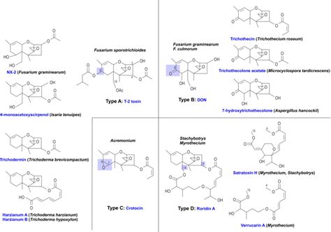 Classification and chemical structure of some representative ...