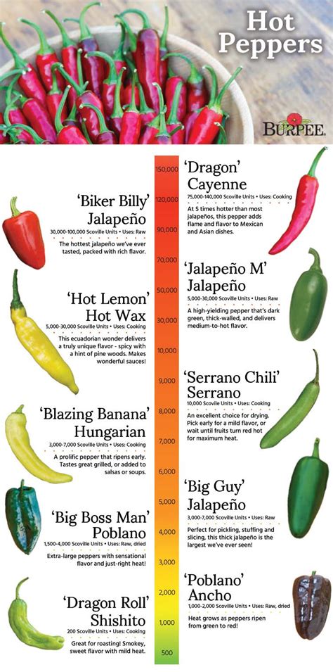 Hot Pepper Scale Chart