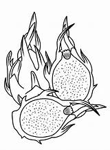 Dragon Fruit Coloring Pages Printable For Free Download sketch template