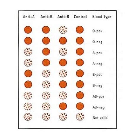 1 x Blood Type Test Kit Eldon Home Blood Group Testing Kit - CE Marked ...