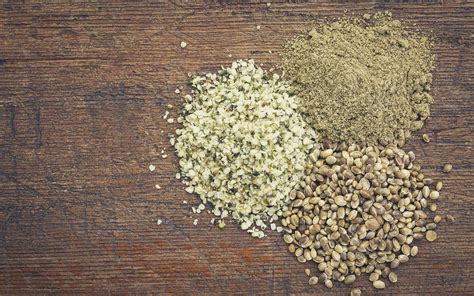 A Complete Guide To Hemp Protein | Onnit Academy