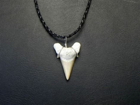 Black Braided OTODUS Shark Tooth Necklace – JTS Sharks Teeth