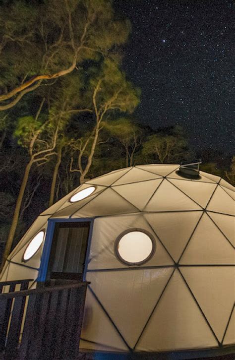 a large white dome sitting in the middle of a forest under a night sky ...