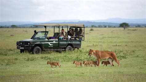 MLDSPOT | 4 Tempat Padang Savana Terbaik di Afrika