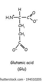 Amino Acid Chemical Structure Glutamic Acid Stock Illustration 1945102051 | Shutterstock