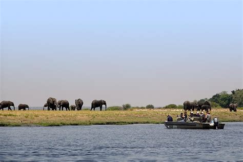 Chobe National Park | Join Up Safaris