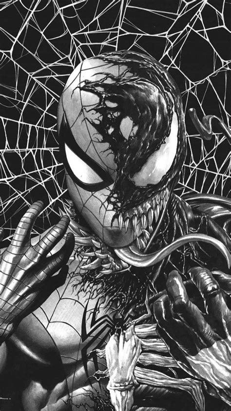 black and white spider-man and venom | Spiderman, Amazing spiderman ...