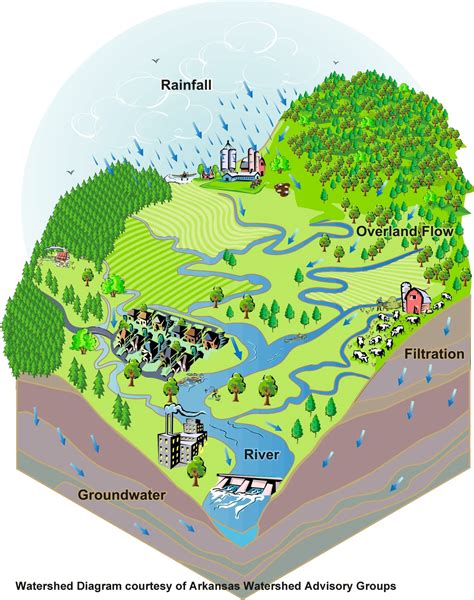 watershed_diagram2 | Sustainable Food Lab