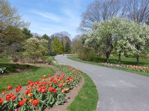 Things to Do in Long Island | Botanical gardens, Garden images, Clark ...