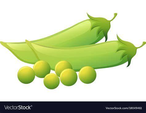 Green peas on isolated white background Royalty Free Vector