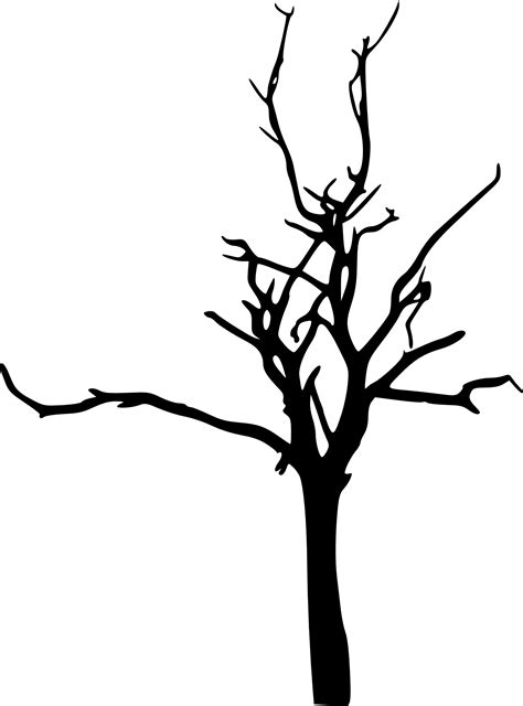 Simple Leafless Tree Outline