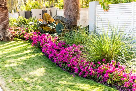 What Is Tropical Landscaping?