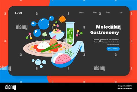 Molecular Gastronomy concept. Creative culinary techniques meet science in food preparation ...