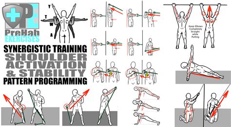 Synergistic Training - Improve Mobility, Stability and Strength