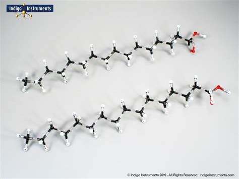 Orbit fatty acid structures molecular model kit