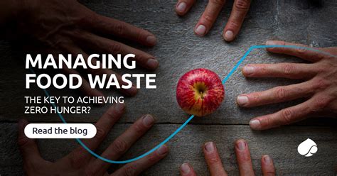 Food Waste: What's the key to zero hunger? | Capgemini