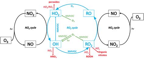 Frontiers | The Interplay Between Ozone and Urban Vegetation—BVOC ...