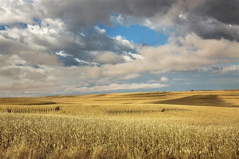 Iowa in November - Terraced Corn Fields on Autumn Day in Iowa Photograph by Southern Plains ...