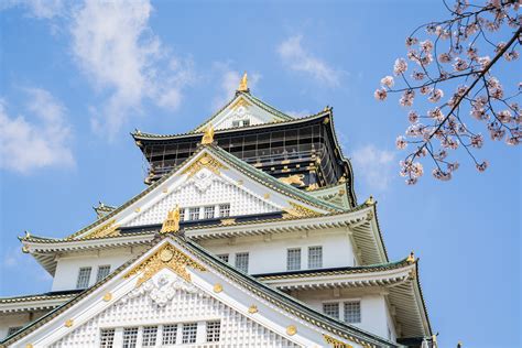 Osaka Castle Cherry blossoms :: Behance