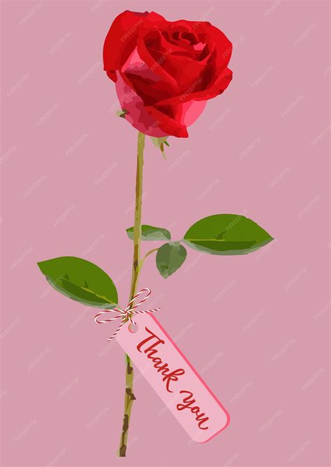 Premium Vector | Card with a red rose and tag with text Thank you. Greeting cards