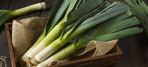 Leeks: Top Leek Benefits, Nutrition, Recipes and More - Dr. Axe