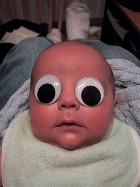 40 Photos That Show A Pair Of Googly Eyes Makes Everything 10x Better