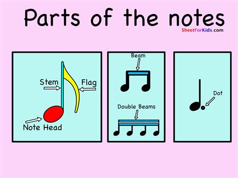 What is a stem in music notes?