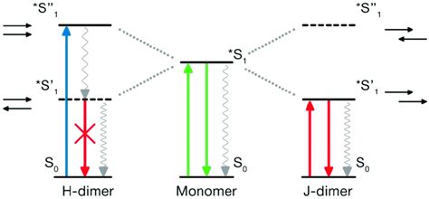 The illustration of the exciton model suggested by Michael Kasha for... | Download Scientific ...