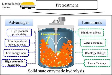 Enzymatic hydrolysis of lignocellulosic biomass from low to high solids ...