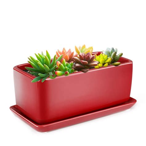 10 Inch Rectangular Ceramic Succulent Planter Pot - Cactus Herb Flower Container Window Box ...