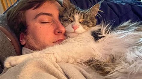 These Cats Love Napping With Their Owners