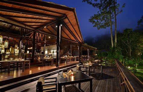 Borneo Rainforest Lodge in Lahad Datu, Malaysia | True Travel