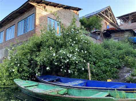 A Beautiful Boat Ride in Kashmir