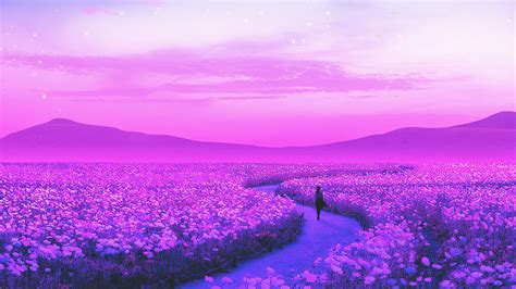 1920x1080 Day Dreaming Lavender Field 4k Laptop Full HD 1080P ,HD 4k Wallpapers,Images ...