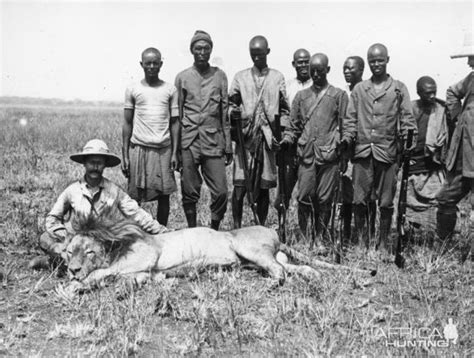 Lion Hunting | AfricaHunting.com