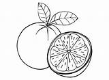 40  Oranges Coloring Pages Free Printable PDF & Online sketch template