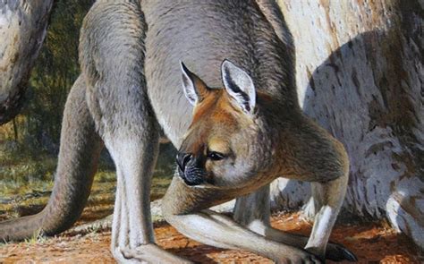 Fossils of an ancient extinct marsupial lion found in Australia - India Today