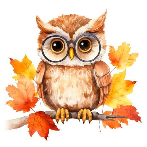 Owl Fall Foliage Clipart, Bird Clipart, Digital Sticker for Designer ...