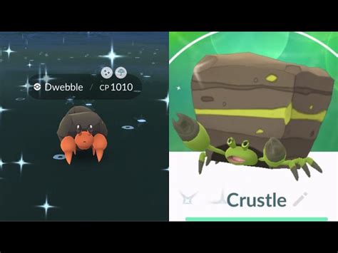 How to catch a shiny Dwebble in Pokemon GO - India KI News