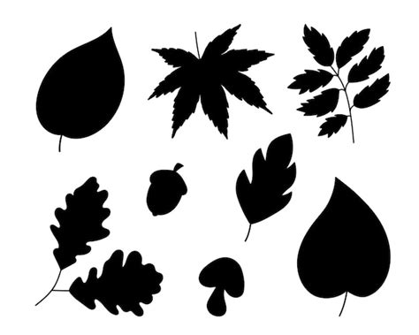 Premium Vector | Black leaf silhouette in modern style. vector isolated set. organic beauty ...