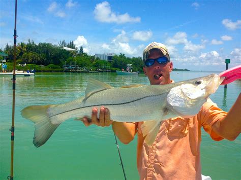 Thursday, 11/14/13, Captiva Fishing Report: Snook, Blind Pass, Sanibel, Captiva & North Captiva ...