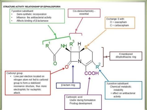 Cephalosporins antibiotics