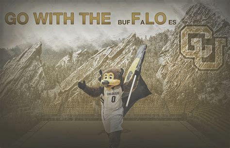 Colorado Buffaloes Basketball Recruiting Graphic :: Behance