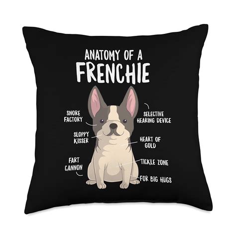 Funny French Bulldog Memes | ubicaciondepersonas.cdmx.gob.mx