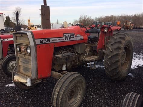 Massey Ferguson 255 Tractor for sale in Beaverton, ON | IronSearch