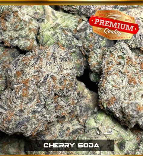 Cherry Soda (EXOTIC) - reupdeliver.com